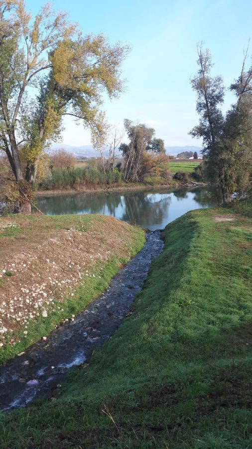 Sulla Ciclabile Apartment Lungo Il Fiume Adige Zevio Exteriör bild