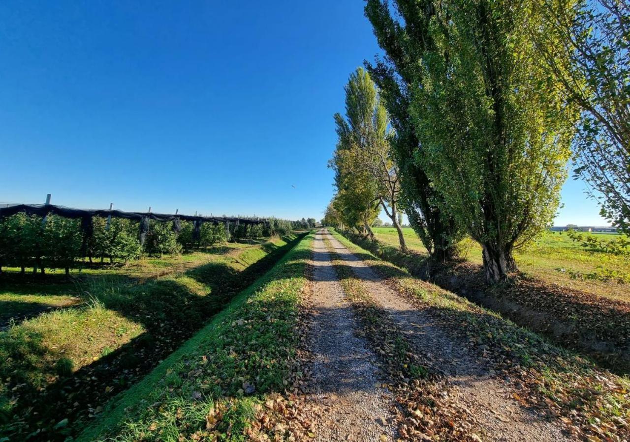 Sulla Ciclabile Apartment Lungo Il Fiume Adige Zevio Exteriör bild