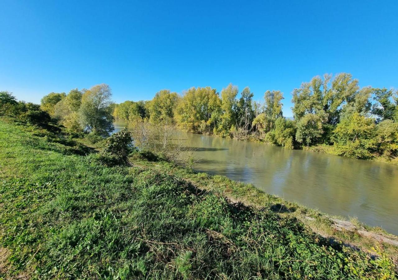 Sulla Ciclabile Apartment Lungo Il Fiume Adige Zevio Exteriör bild