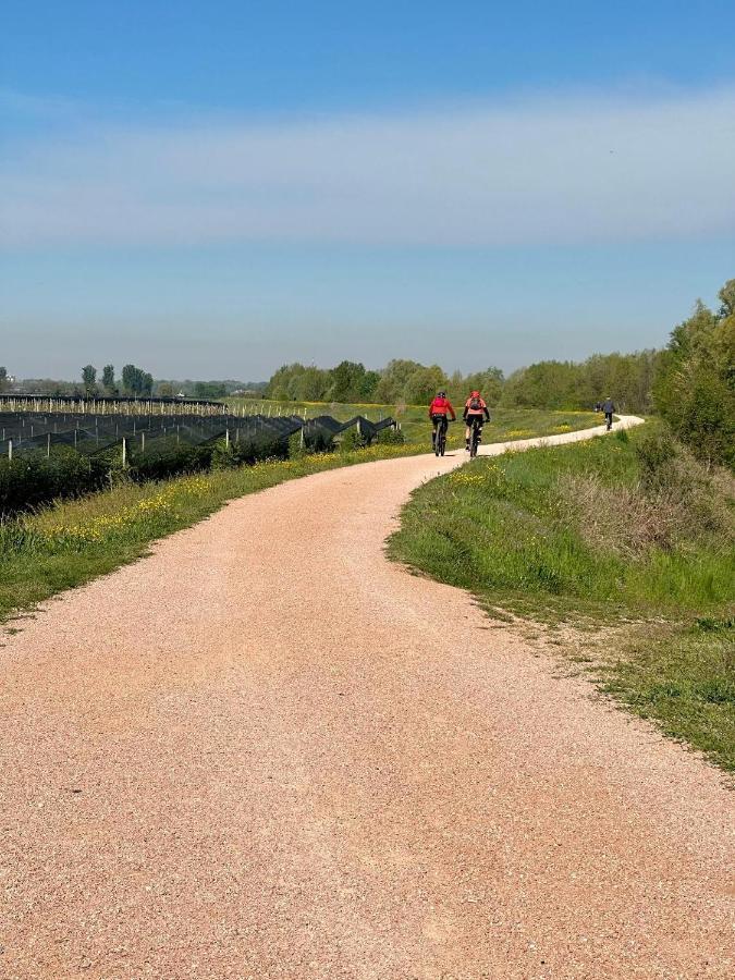 Sulla Ciclabile Apartment Lungo Il Fiume Adige Zevio Exteriör bild