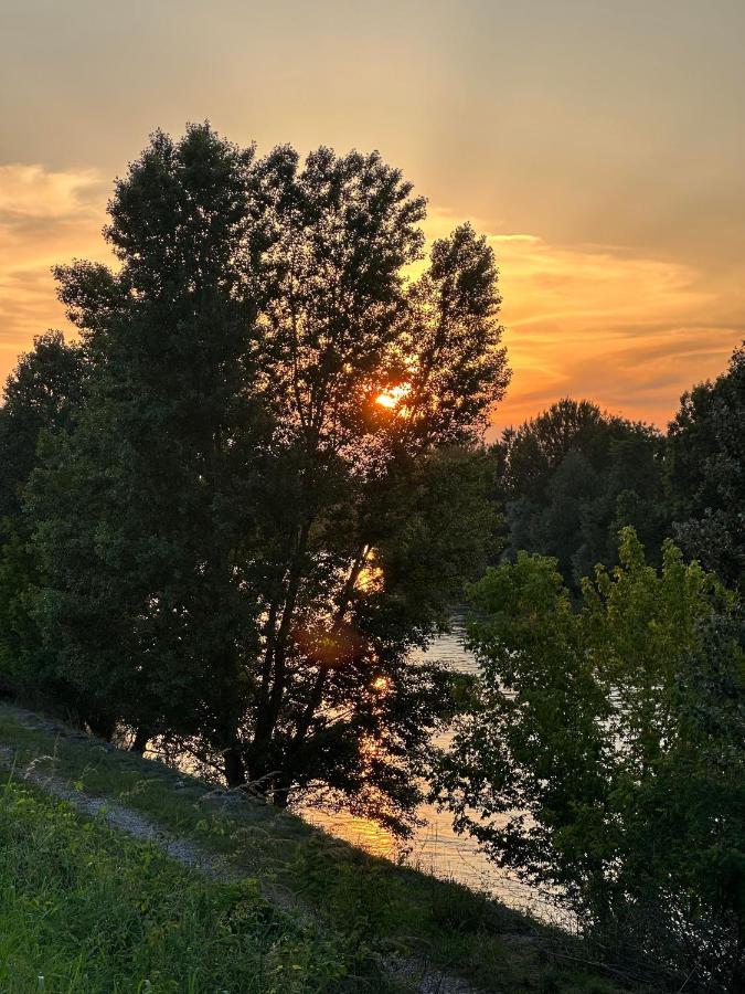 Sulla Ciclabile Apartment Lungo Il Fiume Adige Zevio Exteriör bild